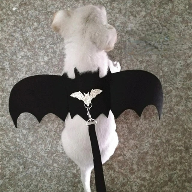 Pet Bat Wings Harness