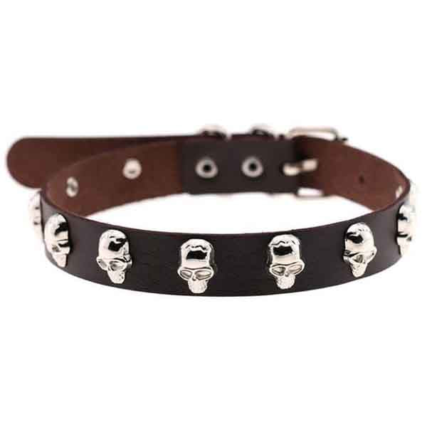 Cursed Skull Choker Necklace