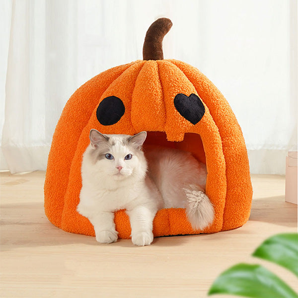Pumpkin Cat Cave