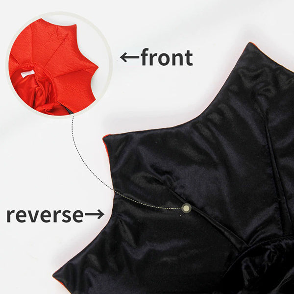Pet Vampire Costume